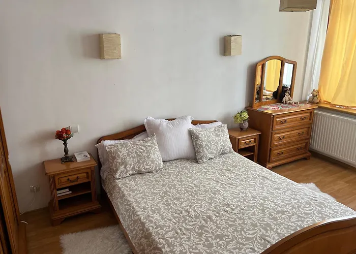 1 In Centrul Orasului - Unirii Fantanii Apartment *