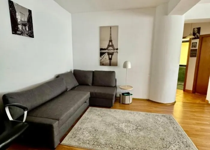 1 In Centrul Orasului - Unirii Fantanii Apartment *